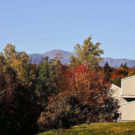 Bartlett Condo With Mountain Views Near Ski Resorts! Extérieur photo